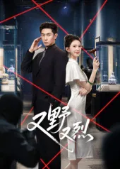 剧情跌宕起伏：国产剧《又野又烈》