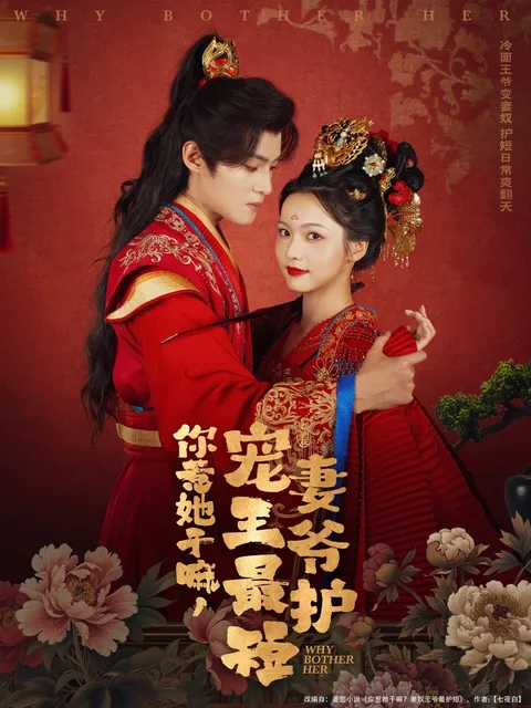 你惹她干嘛，宠妻王爷最护短