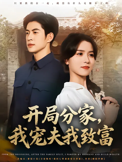 开局分家-我宠夫我致富
