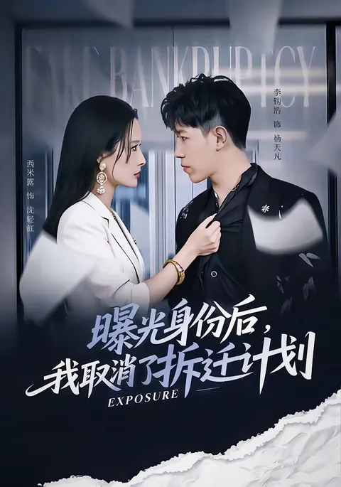 我取消了拆迁计划：从揭露到抉择