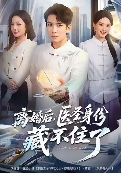 夫妻离婚后的医圣故事