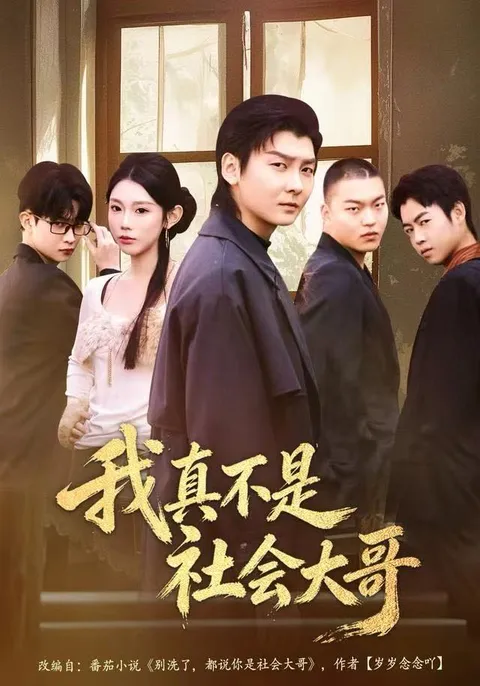 挑战身份的剧情 - 我真不是社会大哥