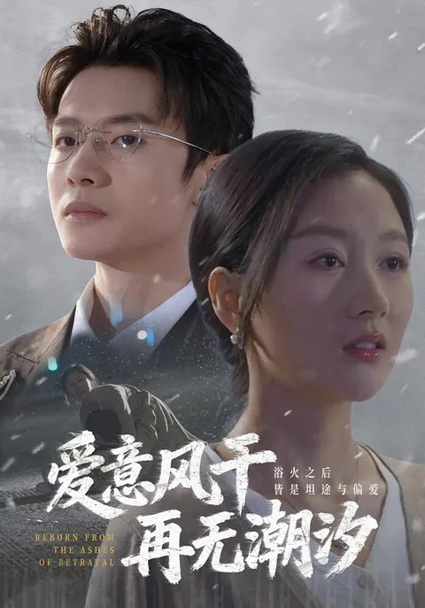 情深深爱却已逝 - 爽文故事