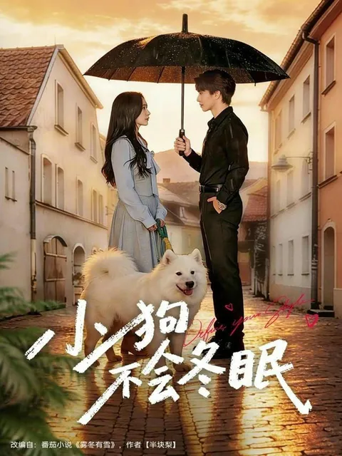 《小狗不会冬眠》70集精彩剧情全回顾