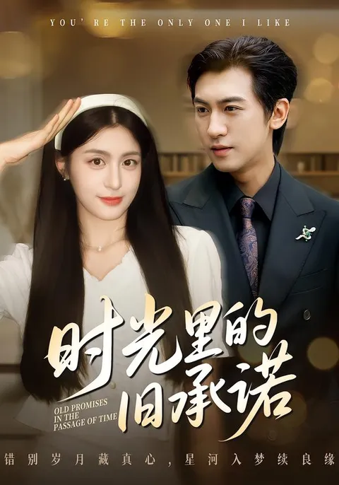 一段关于时光的情感承诺