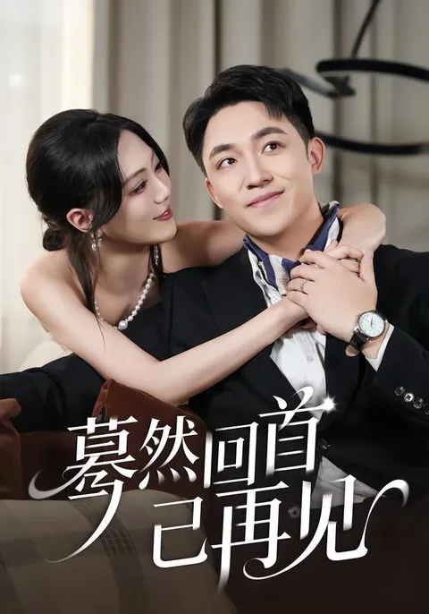 重逢的故事：《蓦然回首已再见》