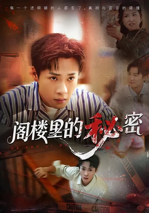 剧情反转不断的爽文短剧-《阁楼里的秘密》