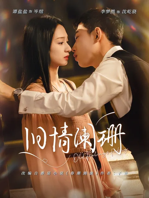 精彩回顾：旧情阑珊的感人剧情