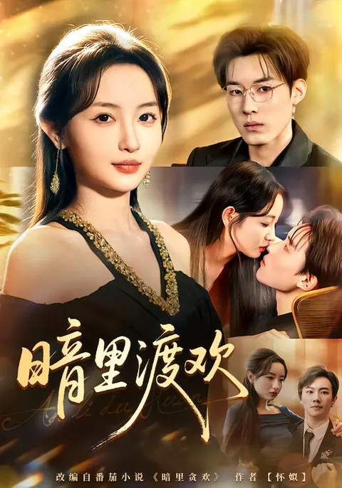 剧情揭秘：暗里渡欢