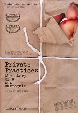 私人的实践：一位替身性伴侣的故事